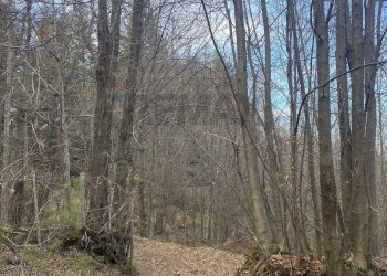 Vista delle montagne - Terreno agricolo strada mareneve, Linguaglossa - foto 18