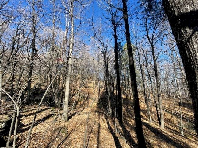 Non correlato - Terreno agricolo strada mareneve, Linguaglossa - foto 3