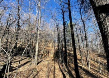 Non correlato - Terreno agricolo strada mareneve, Linguaglossa - foto 3