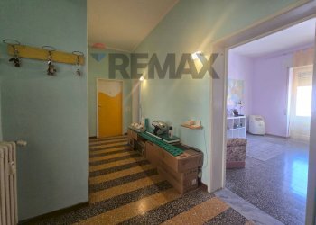 Hall / corridoio - Quadrilocale Piombino - foto 11