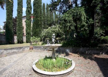 Giardino - Casa indipendente via Piave
28, Ponte San Pietro - foto 16