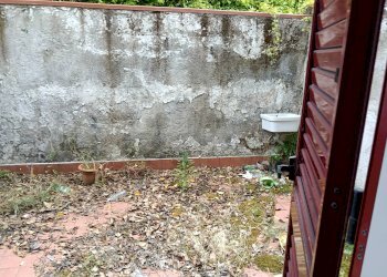Giardino - Three-room apartment via roma
 
17, Ceppaloni - photo 17