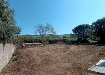 Foto 4 - Agricultural land Via Niccolini, Caserta - photo 4