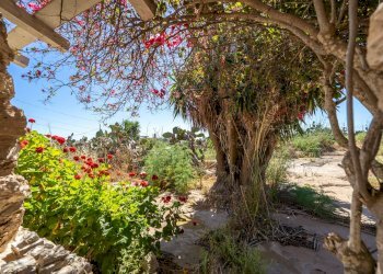 Foto 45 - Semi-detached house Strada di Ponente
snc, Lampedusa e Linosa - photo 45
