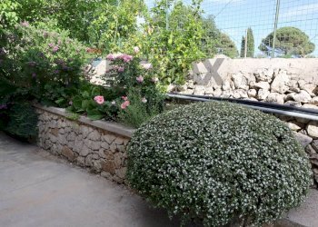 Giardino - Villa C.da Rigolizia, Noto - foto 10