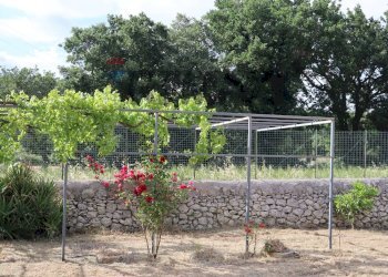 Giardino - Villa C.da Rigolizia, Noto - foto 11