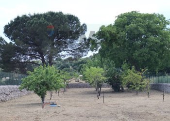 Giardino - Villa C.da Rigolizia, Noto - foto 15