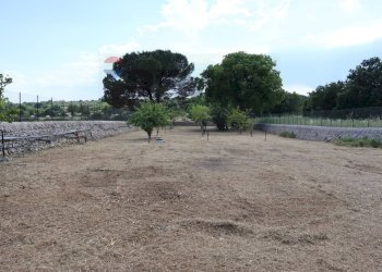 Giardino - Villa C.da Rigolizia, Noto - foto 16