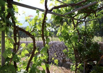Giardino - Villa C.da Rigolizia, Noto - foto 24