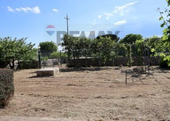 Giardino - Villa C.da Rigolizia, Noto - foto 25
