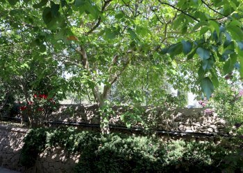 Giardino - Villa C.da Rigolizia, Noto - foto 26