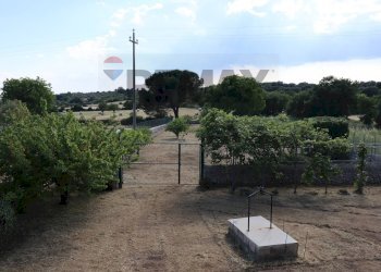 Giardino - Villa C.da Rigolizia, Noto - foto 33