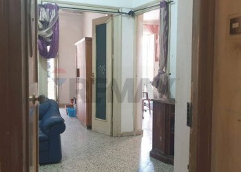 Hall / corridoio - Quadrilocale Palermo - foto 20