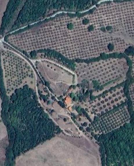 Foto 1 - Azienda agricola podere  Sasso Bianco, Campagnatico - foto 1