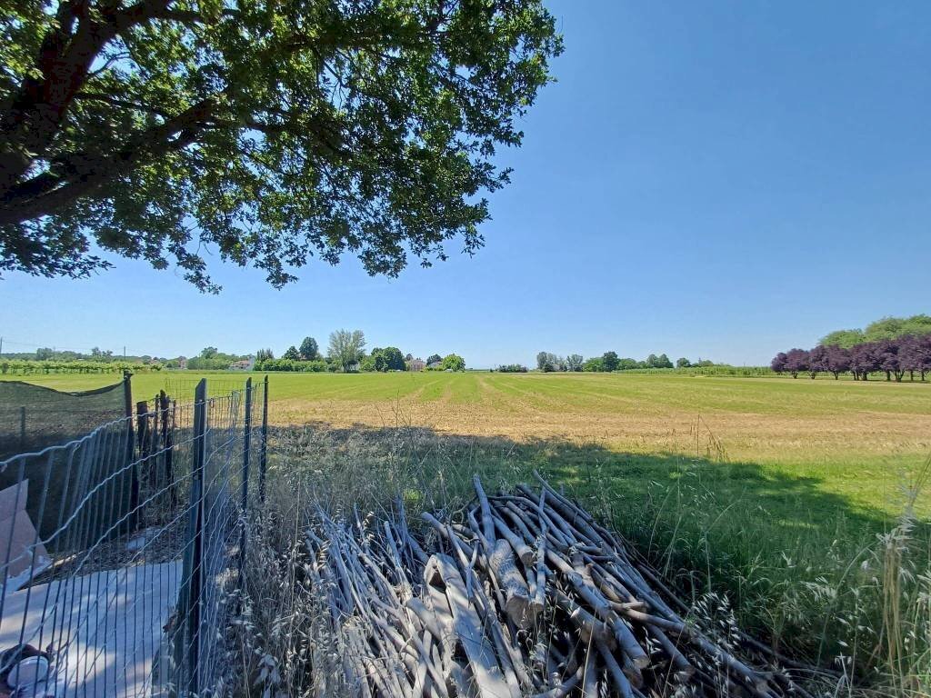 Terreno - Villa via Ponte Pietra, Mirandola - photo 2