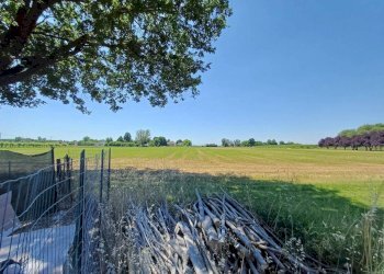 Terreno - Villa via Ponte Pietra, Mirandola - photo 2
