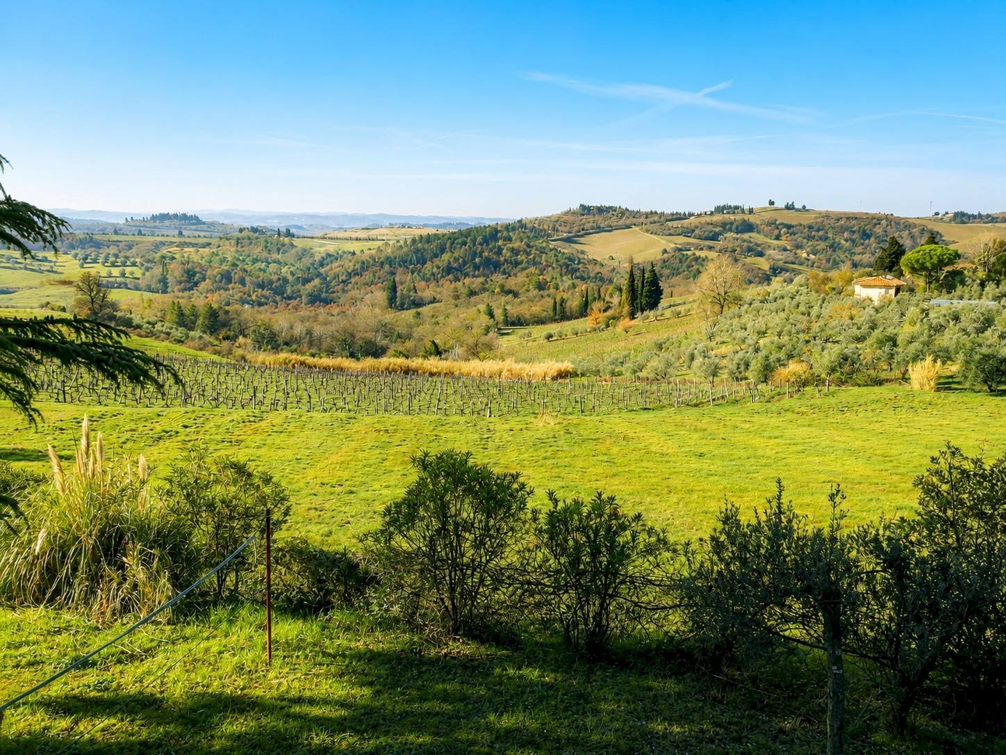 Foto 2 - Villa Via Montelupo
91, Montespertoli - photo 2