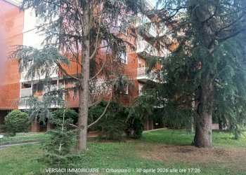 Giardino - Three-room apartment via Frejus, 42, Orbassano - photo 16