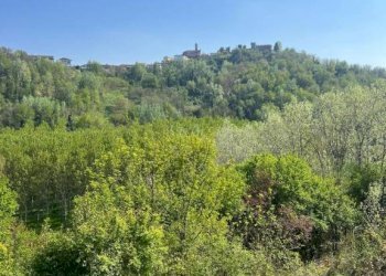 Vista - Rustico via Pozzo, Vigliano d'Asti - foto 17