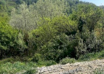 Terreno - Rustico via Pozzo, Vigliano d'Asti - foto 18