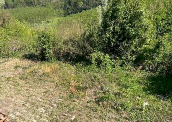 Terreno - Rustico via Pozzo, Vigliano d'Asti - foto 25