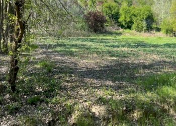 Terreno - Rustico via Pozzo, Vigliano d'Asti - foto 28