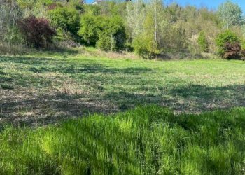 Terreno - Rustico via Pozzo, Vigliano d'Asti - foto 29