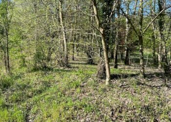 Terreno - Rustico via Pozzo, Vigliano d'Asti - foto 30
