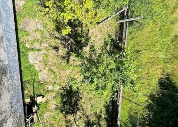 Giardino - Negozio strada Regionale Formia-Cassino, Ausonia - foto 10