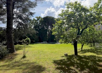 Terreno - Villa via Angelo Carrara, Genova (zona Quarto) - foto 14