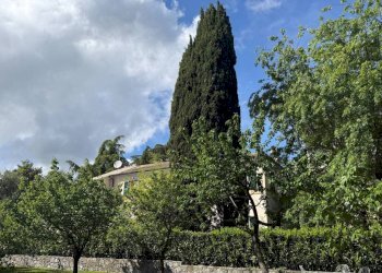 Terreno - Villa via Angelo Carrara, Genova (zona Quarto) - foto 16