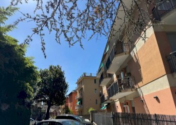 Zona - Three-room apartment via Camillo Vianson, 20, Genova (neighborhood Pegli) - photo 14