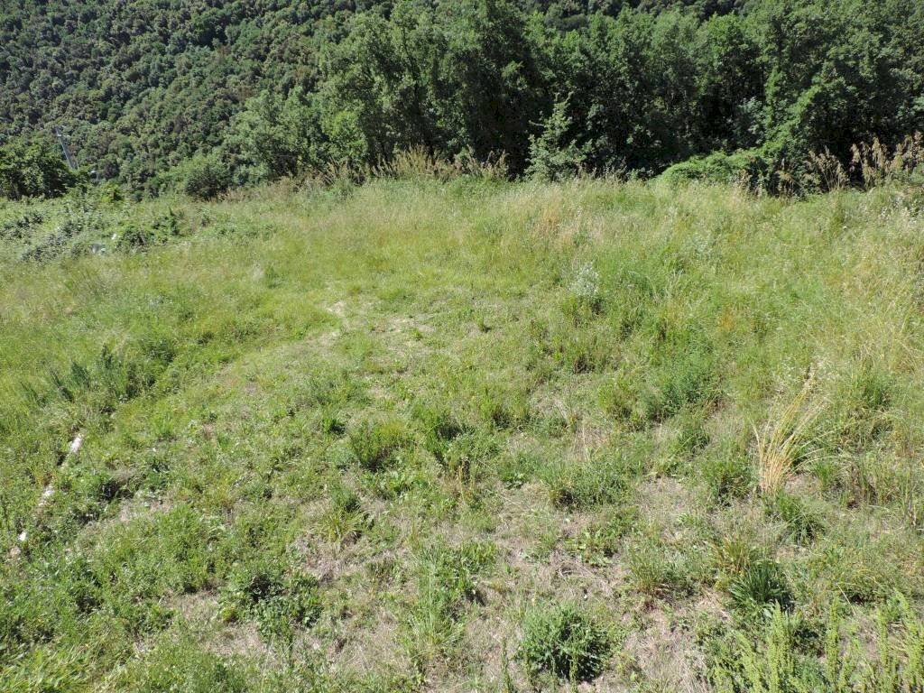Terreno - Building land via delle Ginestre, Scandriglia - photo 1