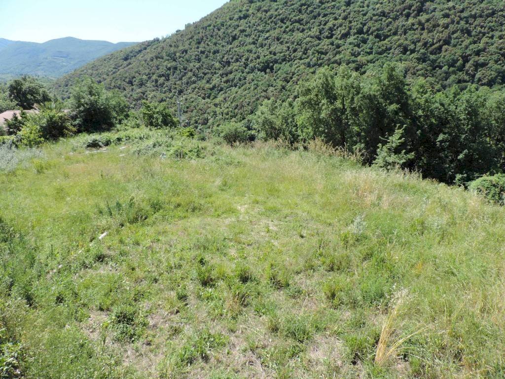 Terreno - Building land via delle Ginestre, Scandriglia - photo 3