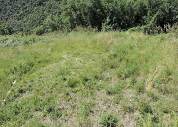 Terreno - Building land via delle Ginestre, Scandriglia - photo 1