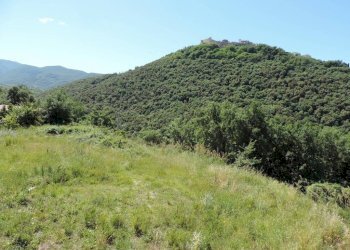 Terreno - Building land via delle Ginestre, Scandriglia - photo 4