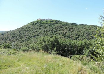 Terreno - Building land via delle Ginestre, Scandriglia - photo 5