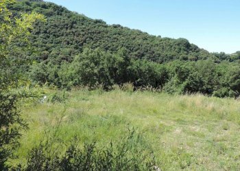 Terreno - Building land via delle Ginestre, Scandriglia - photo 7