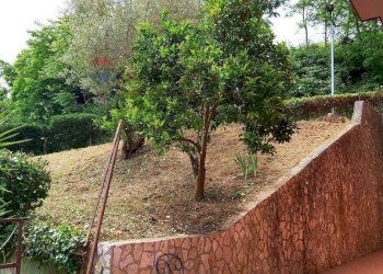 Giardino - Villa c/da Donnici Inferiore
 
snc, Cosenza - foto 12