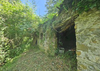 Giardino - Rustico Località Laccio
 
snc, Torriglia - foto 10