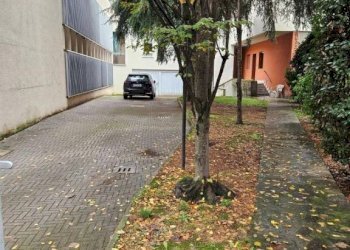 Giardino - Villa via Antonio Bondi, 23, Bologna (zona Massarenti) - foto 33