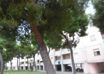 Foto 26 - Trilocale Via Paganini
 
11, San Benedetto del Tronto - foto 26