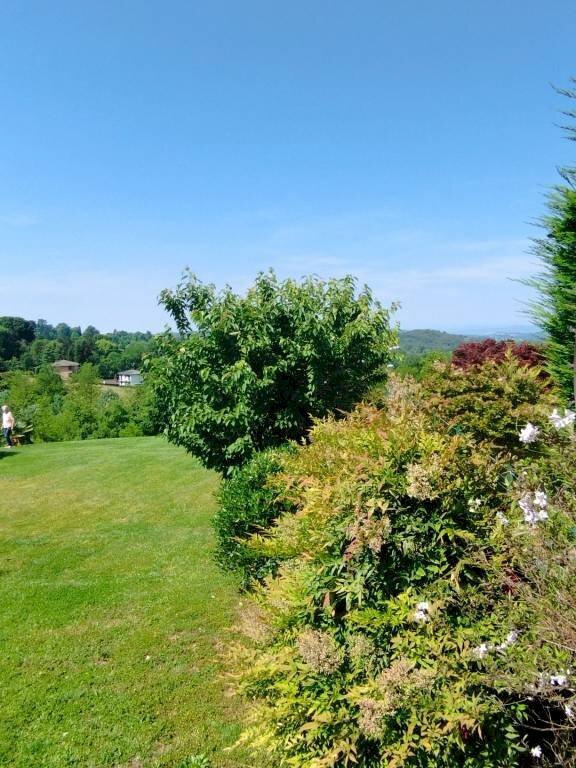 Terreno - Villa via Monte Rosa, Buguggiate - foto 2