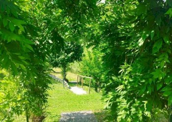Giardino - Villa via Monte Rosa, Buguggiate - foto 40