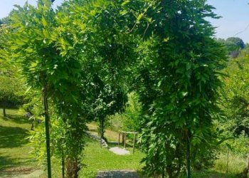 Terreno - Villa via Monte Rosa, Buguggiate - foto 43