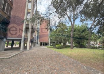 Giardino - Appartamento San Lazzaro di Savena - foto 5