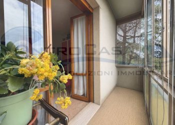 Balcone - Appartamento San Lazzaro di Savena - foto 35