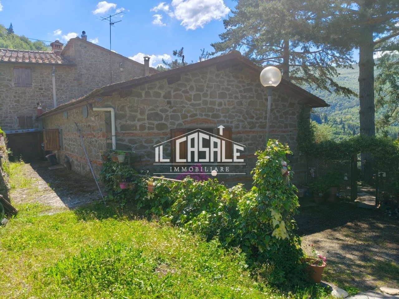 1rincine - Rustic Londa - photo 1