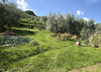 giardino - Casa indipendente Via della Casciaia, Vaiano - foto 25
