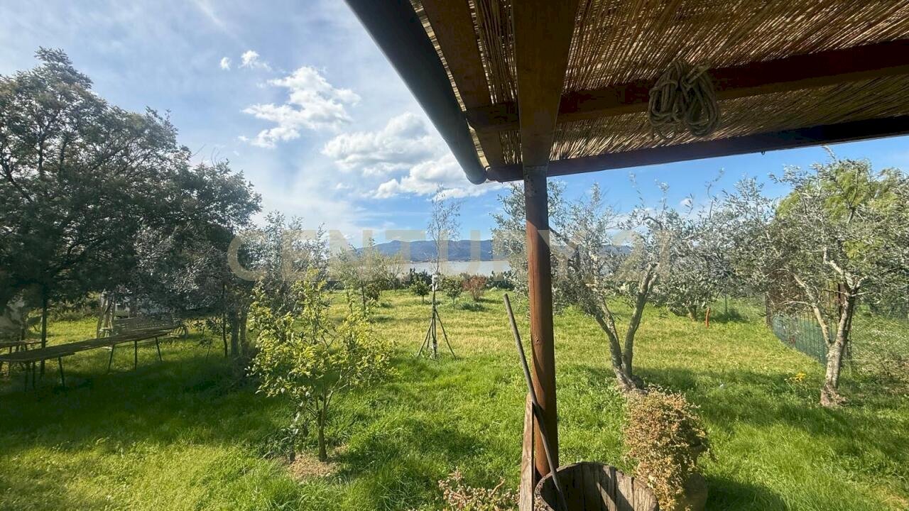 WhatsApp Image 2026-05-25 at 18.04.54 (1) - Agricultural land Loc. quattrostrade, Orbetello - photo 1